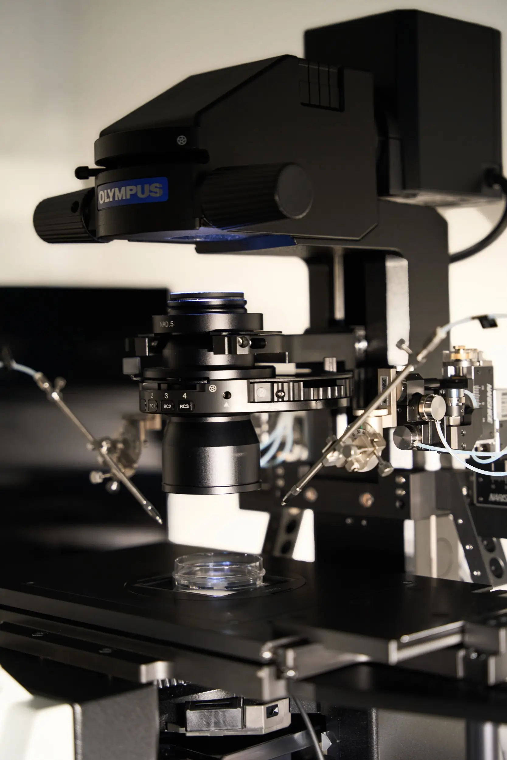 fertility treatment session