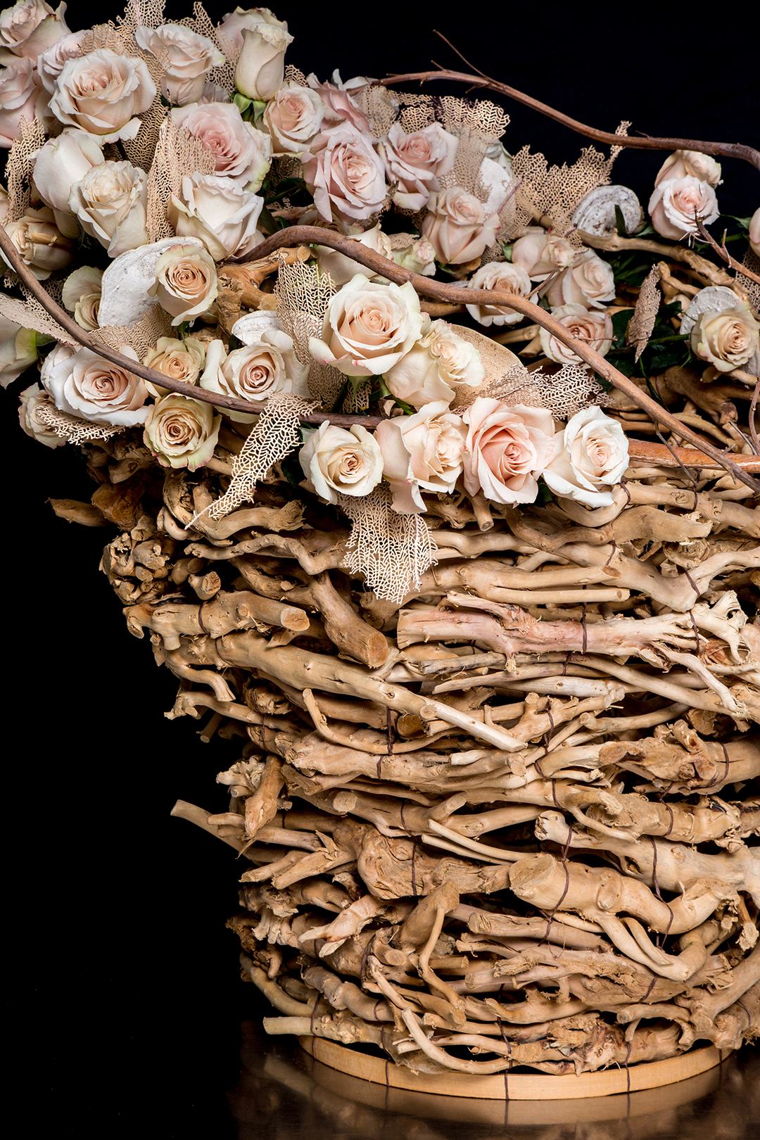 Portfolio Image