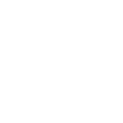 Davids logo