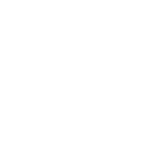 Boujee Hippie logo