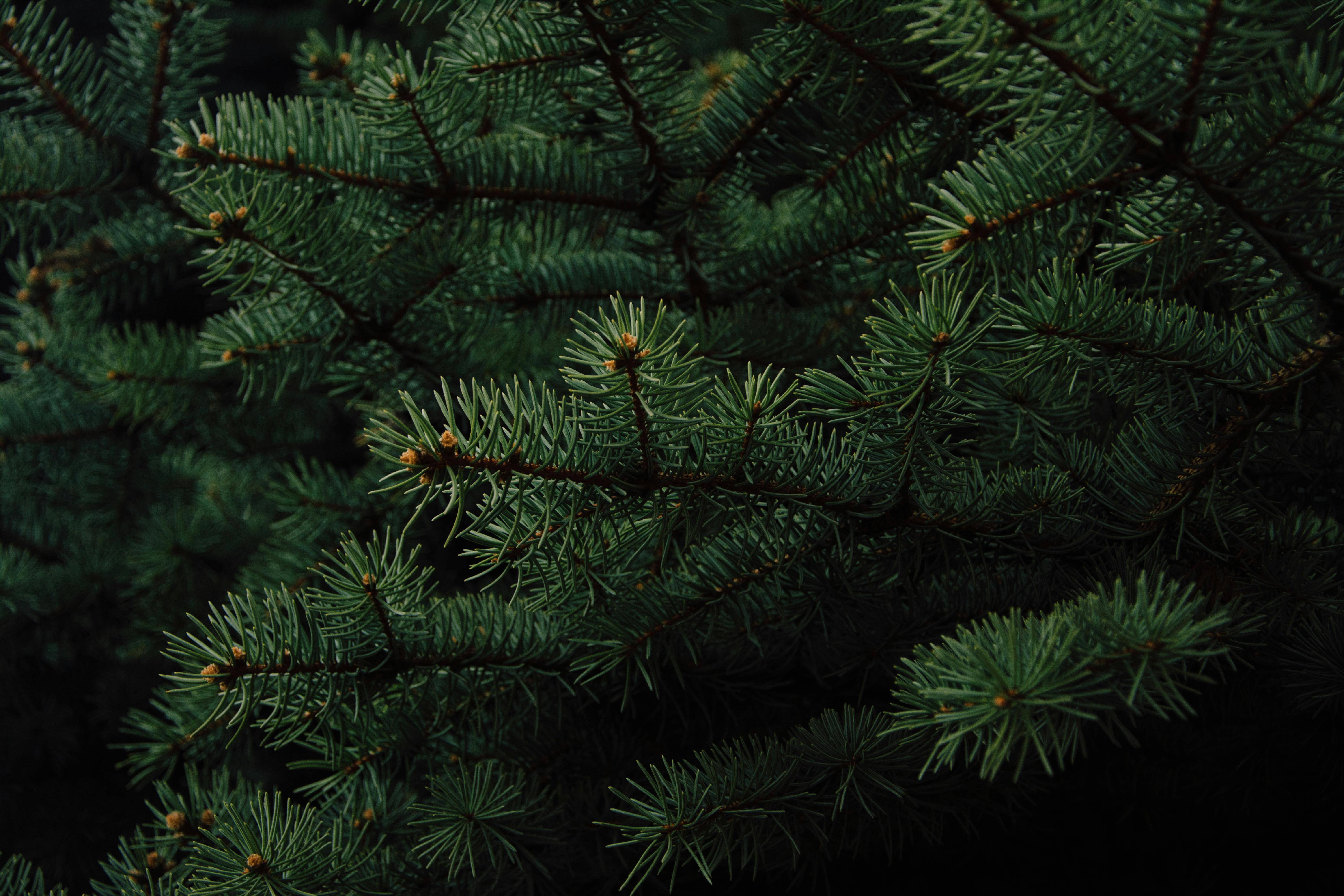 Understanding Evergreen Content and Why It Matters for Long-Term Marketing