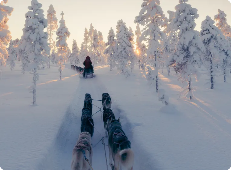 une personne se balade en chiens de traîneau dans la neige