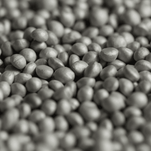 Biobased parels