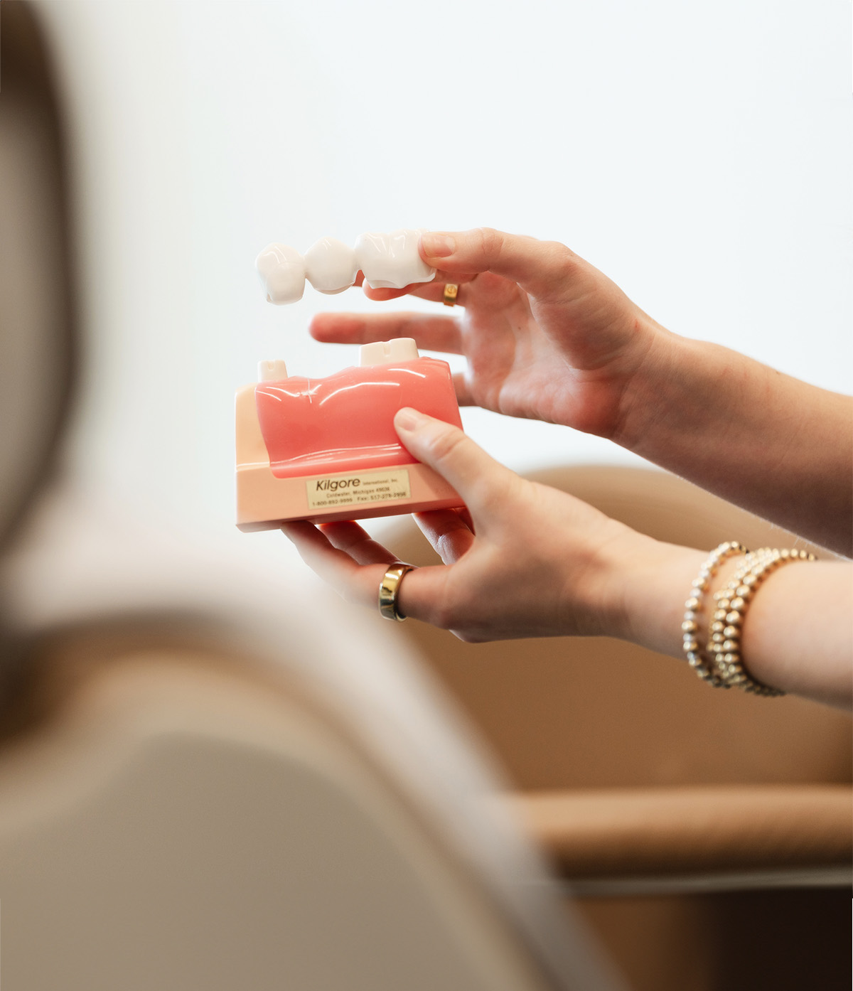 Hands holding a dental model showing a bridge of three white teeth above a pink gum model with two abutment teeth.