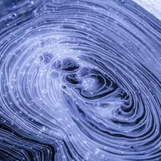 A swirling blue and white pattern resembling the folds of a human brain.