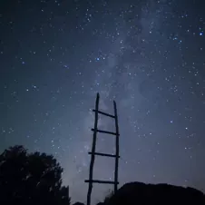 A wooden ladder standing against a starry night sky, appearing to lead into space.