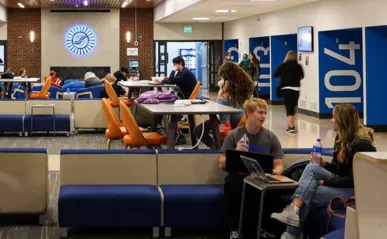 people sitting in common area chatting and studying