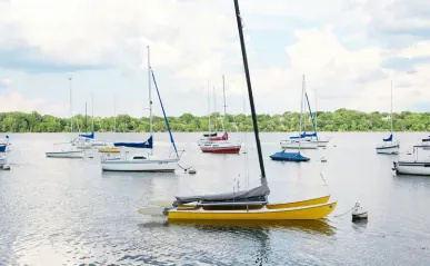sailboats docked in a harbor