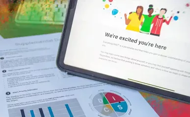 printout of Disc Profile assessment