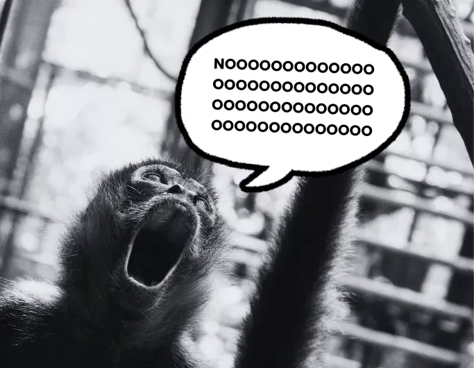 a monkey with a speaking bubble that reads "noooooooo"