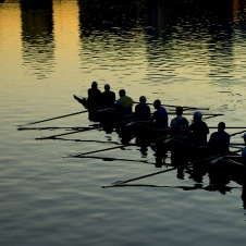 Multi-person rowing team rowing on calm water at sunset with reflections on the water of the oars.