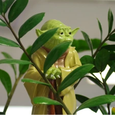Small green figurine partially hidden behind green plant leaves indoors.
