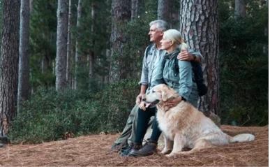 Retured couple sitting against a tree in the forest with their golden retriever dog.