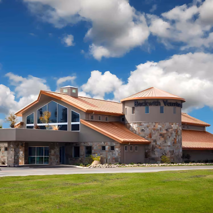 Beckwith Veterinary Hospital custom steel building with stucco exterior