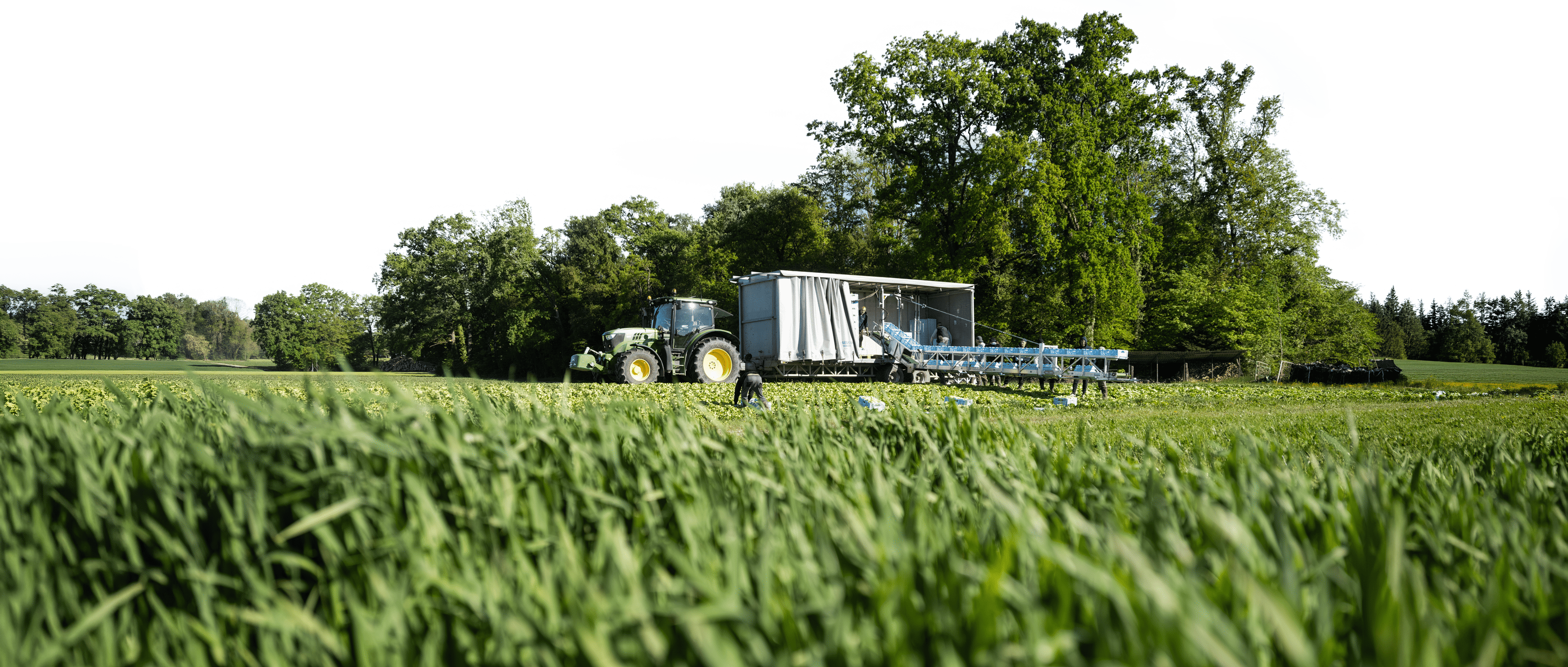 Traktor auf Feld mit Erntegerät, Menschen bei der Ernte, umgeben von grünen Bäumen und Gras.