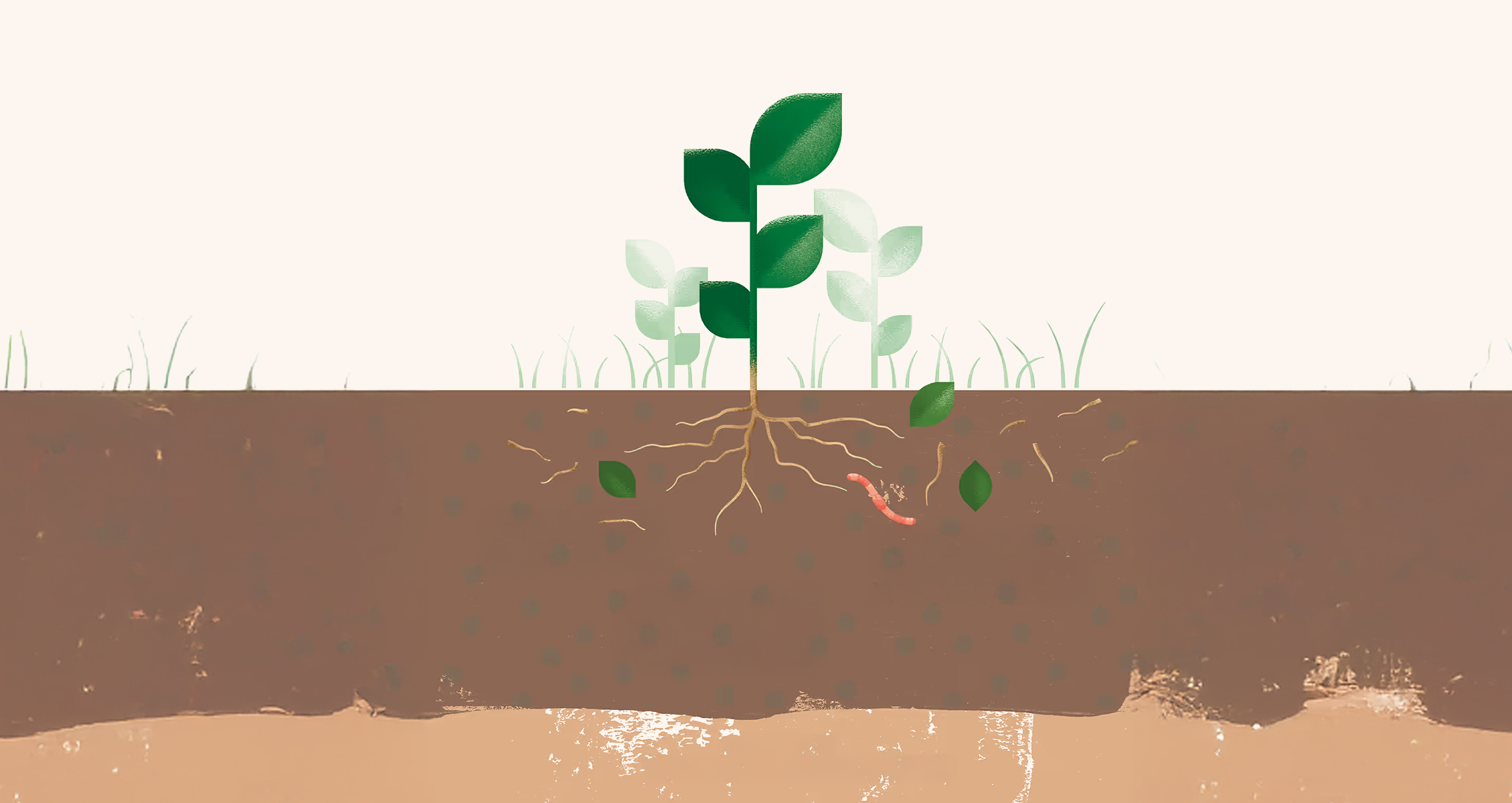 Illustration of a green plant with roots in brown soil, with a worm visible underground.