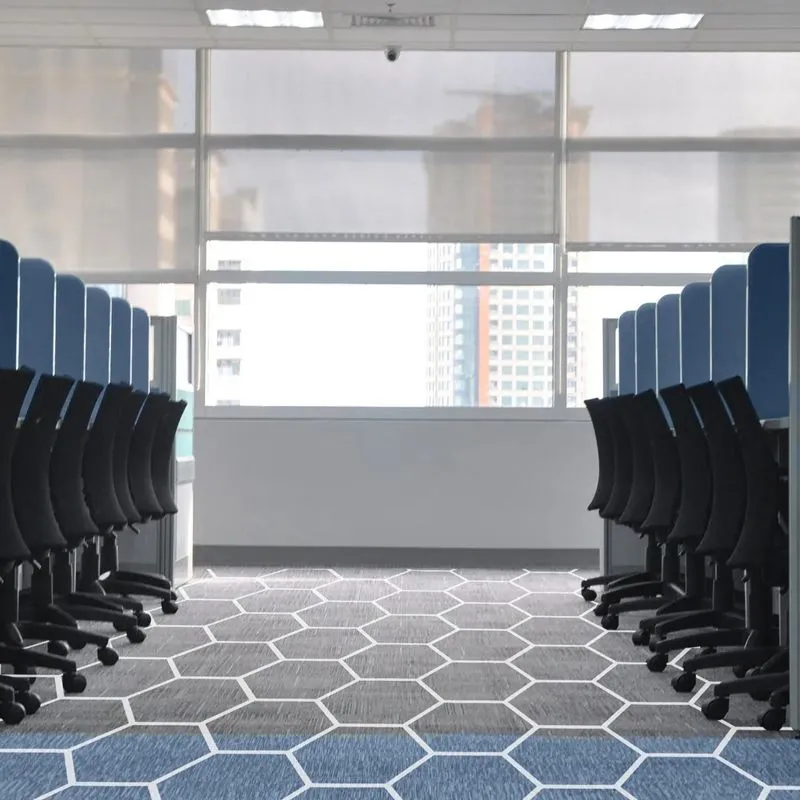 Commercial mold removal