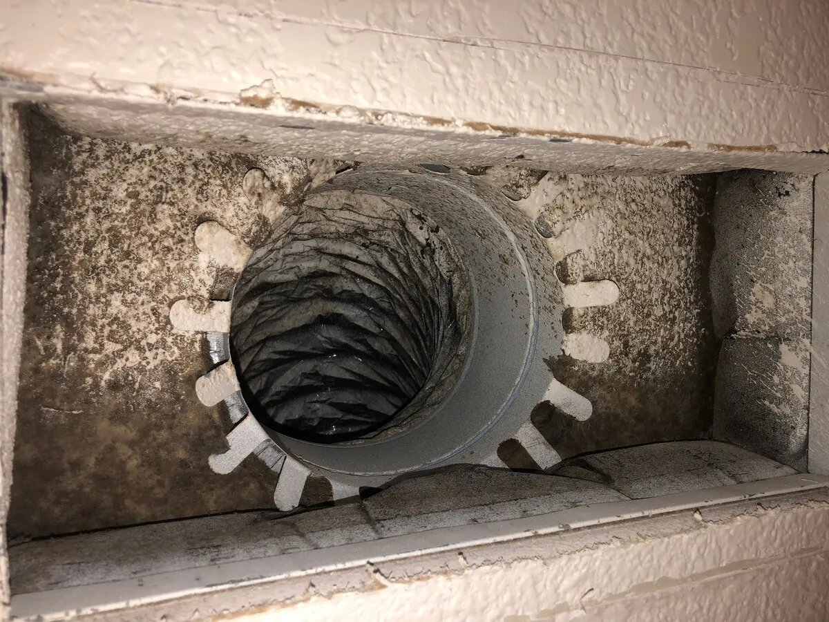HVAC mold removal