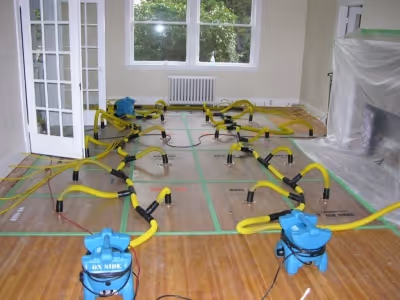 Emergency mold treatment