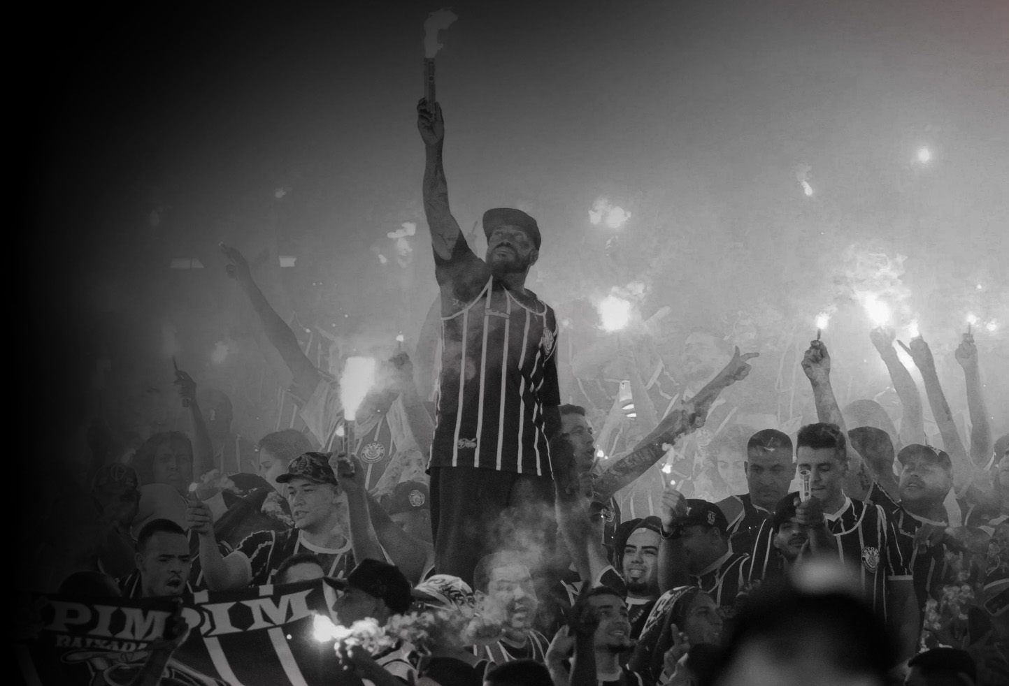 image of concert crowd