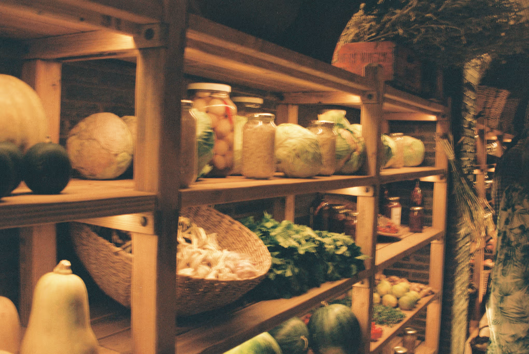 Wooden shelves stocked with various fresh vegetables, jars, and baskets in a rustic setting.