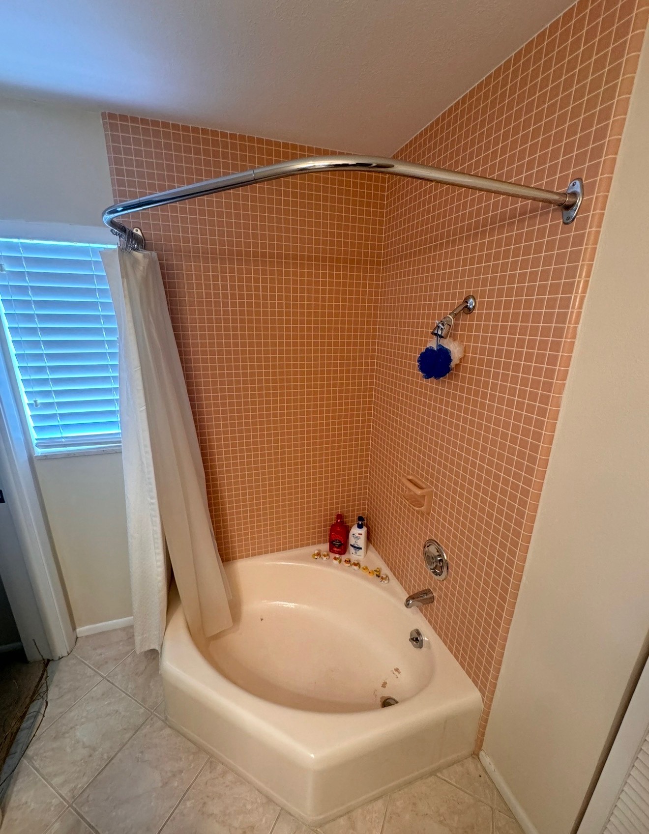 Bathroom Before Remodel