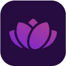 A purple flower on a black background.