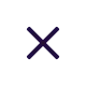 Close Icon