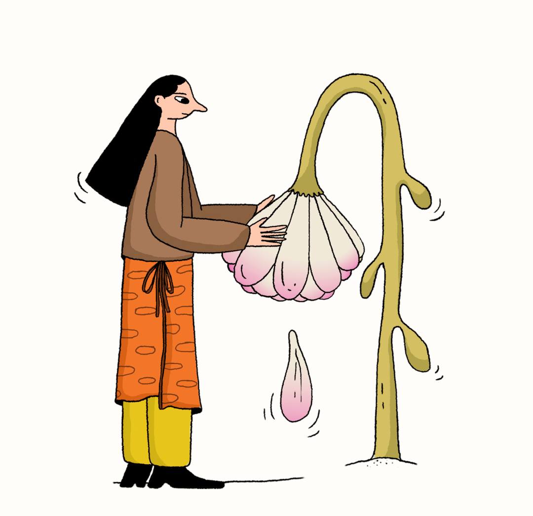 Illustration of a person picking fruit from a tree