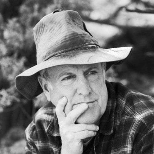 Portrait of Dr. Douglas Tallamy