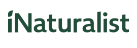 Logo for iNaturalist