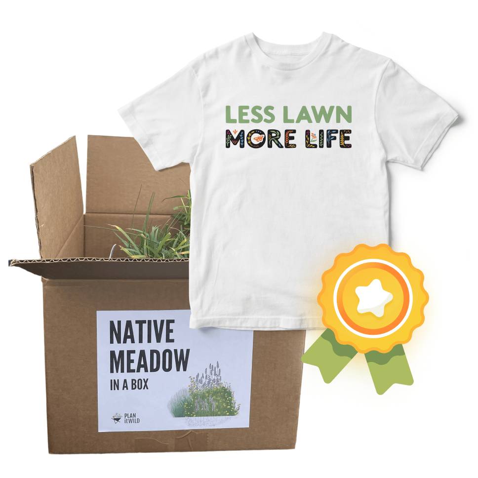 T-Shirt, Badge, and Native Garden Kit.