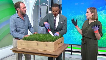 Thumbnail of Wildr on the Today Show