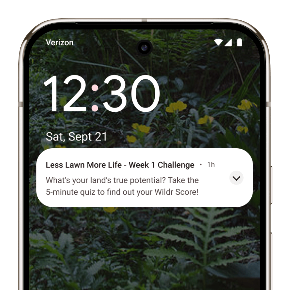 Phone notification depicting a new Plan It Wild challenge.