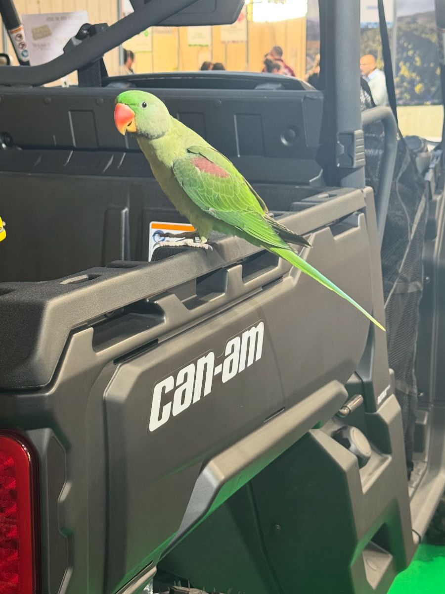 buggy can-am traxter à la fête de l'agriculture de perpignan