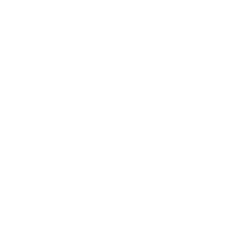 Facebook Icon White