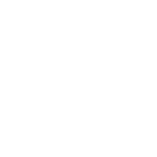 Instagram Icon White