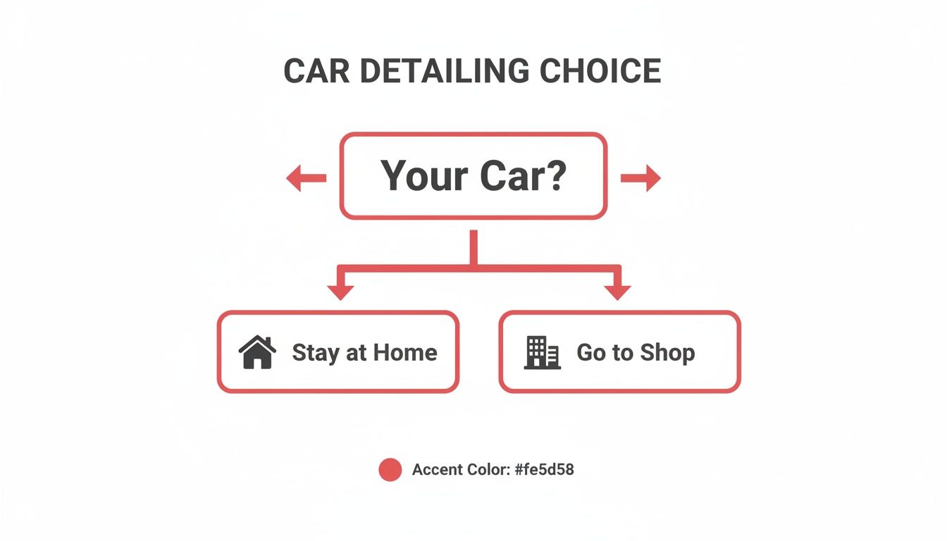 Flowchart illustrating car detailing choices: 'Your Car?' leads to 'Stay at Home' or 'Go to Shop'.