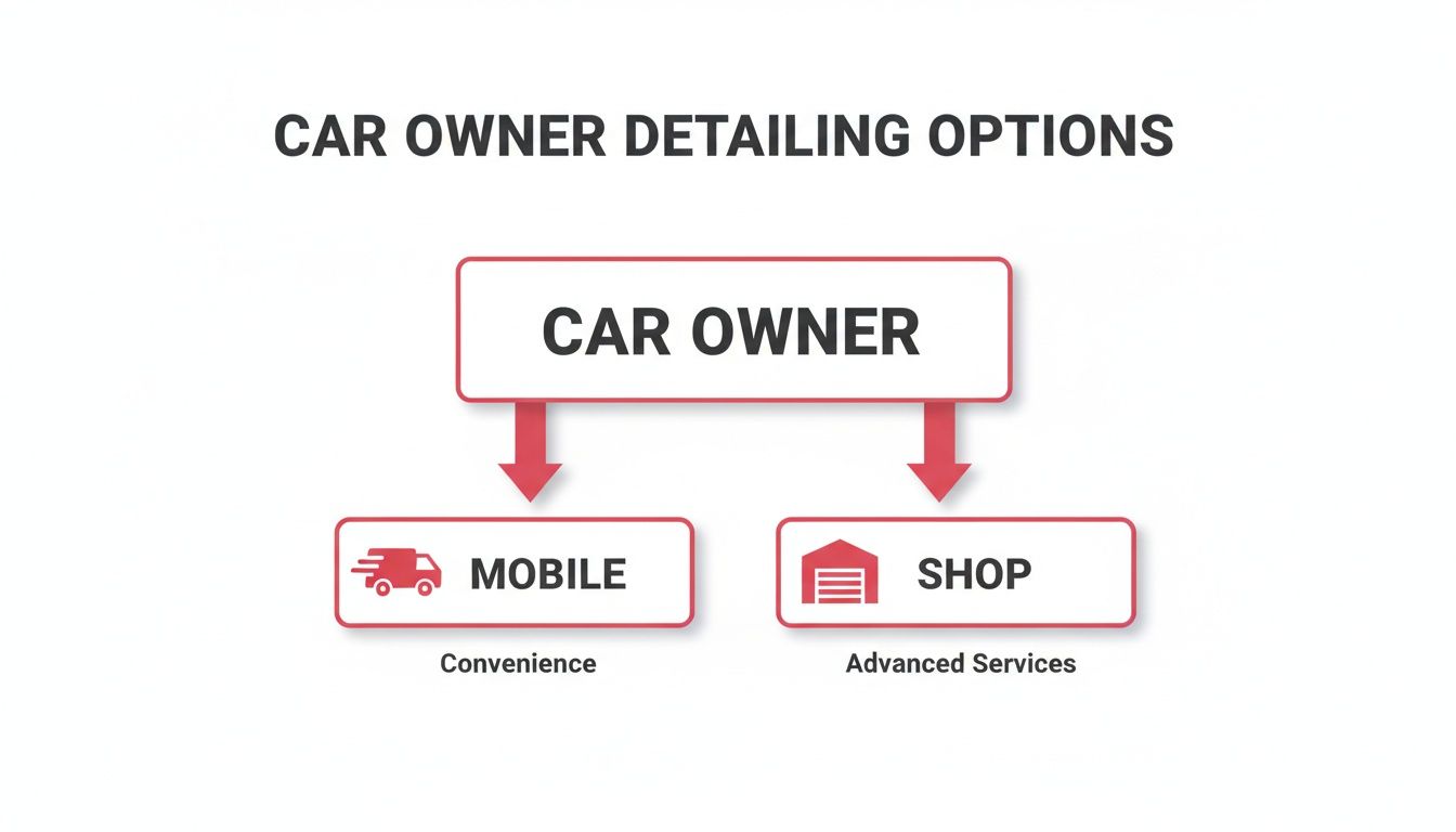 Flowchart showing car owner detailing options: mobile service for convenience and shop for advanced services.