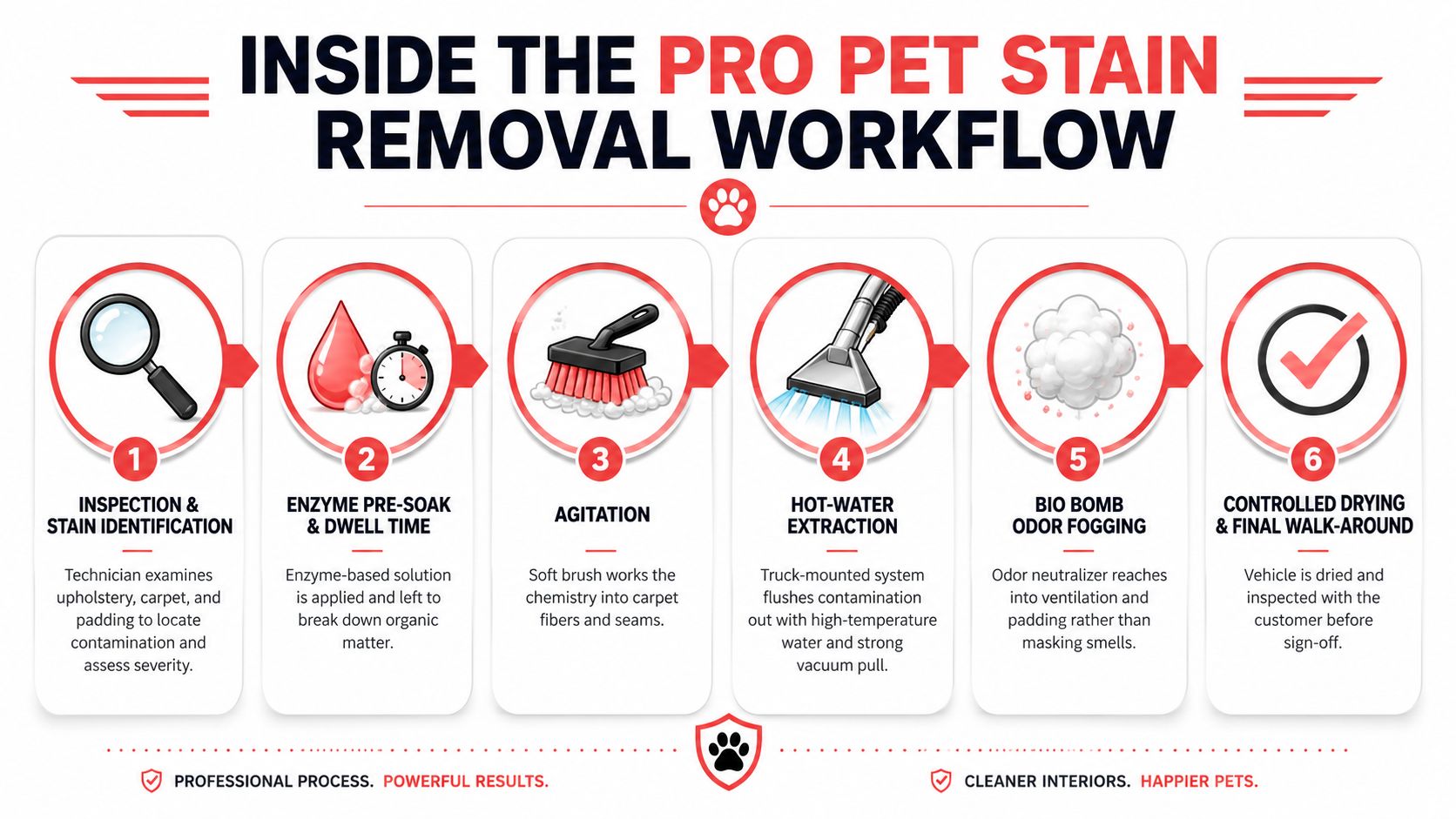An infographic showing the six steps of a professional pet stain removal workflow for vehicle interiors.