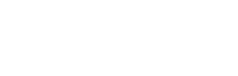 Footer Logo Image