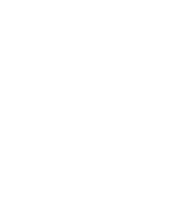 Salala's logo for the footer section