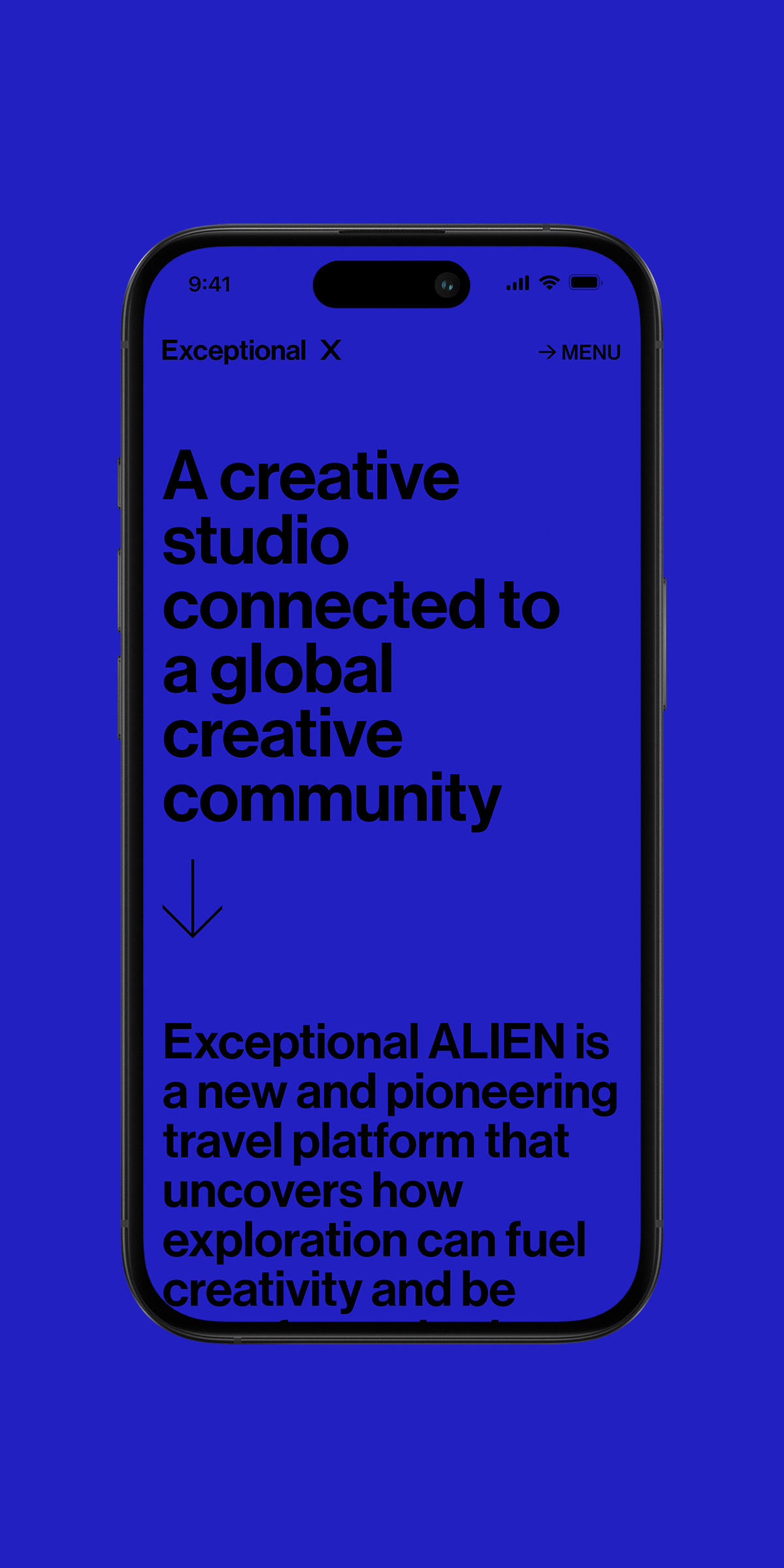 Exceptional X web screens