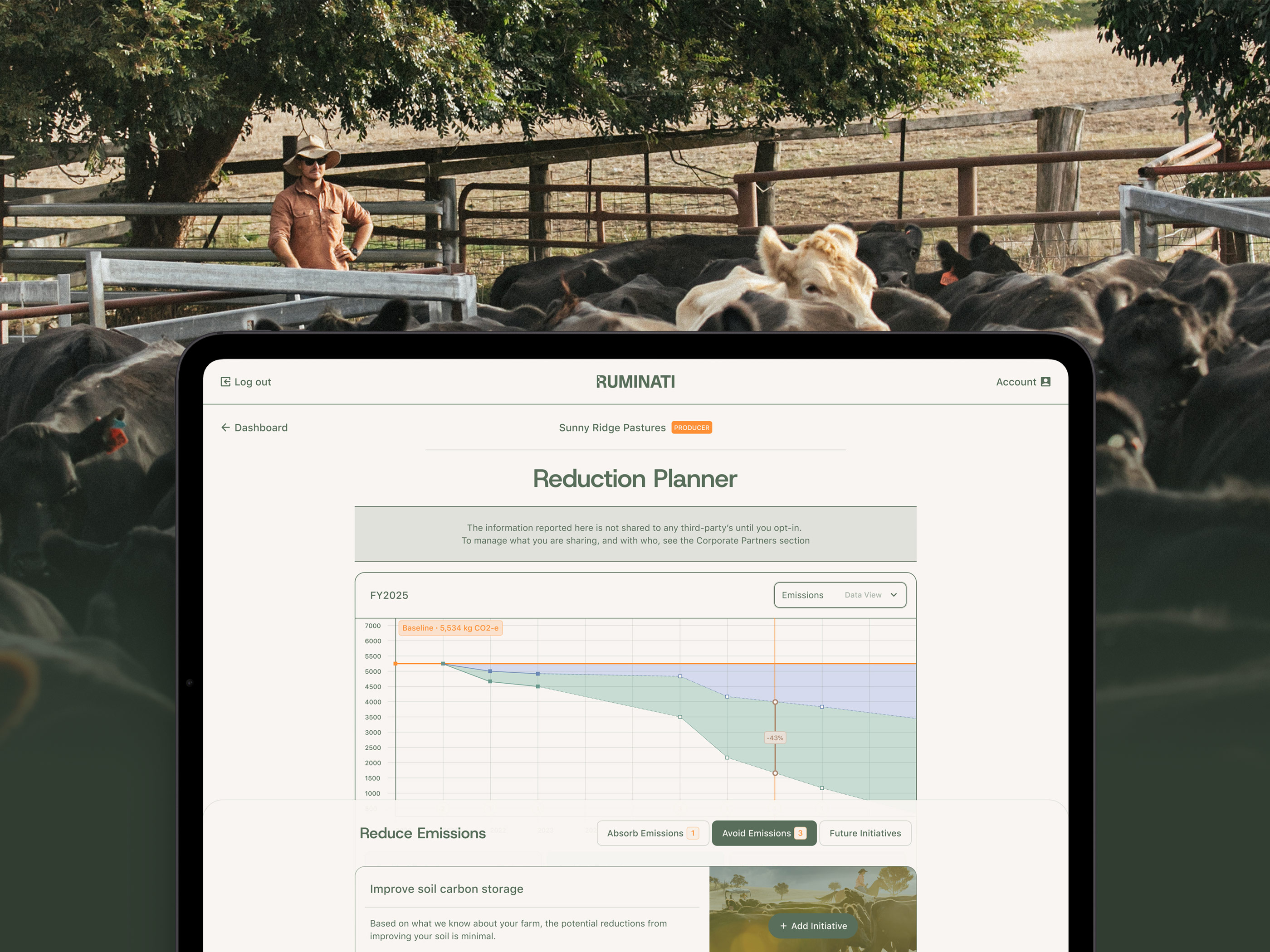 ruminati header image