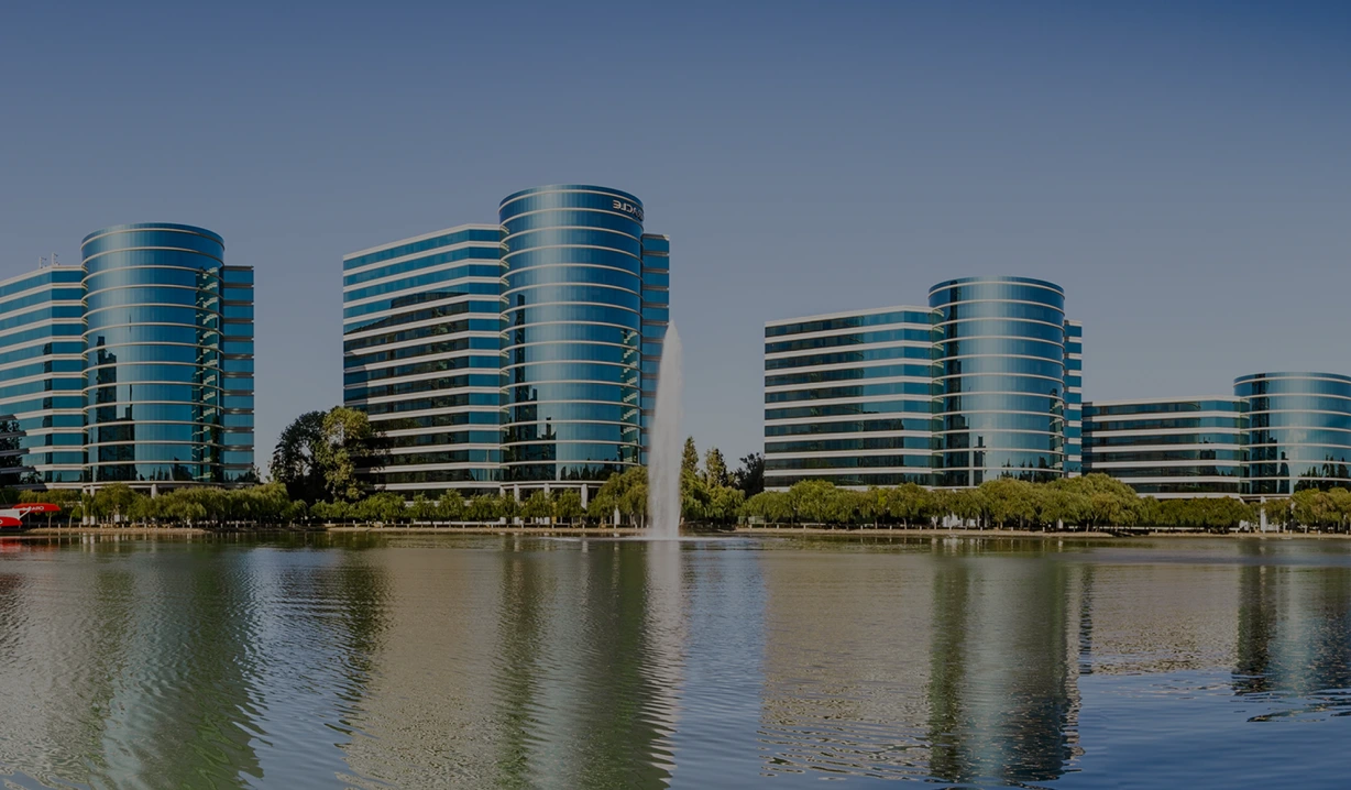 Oracle and NetSuite