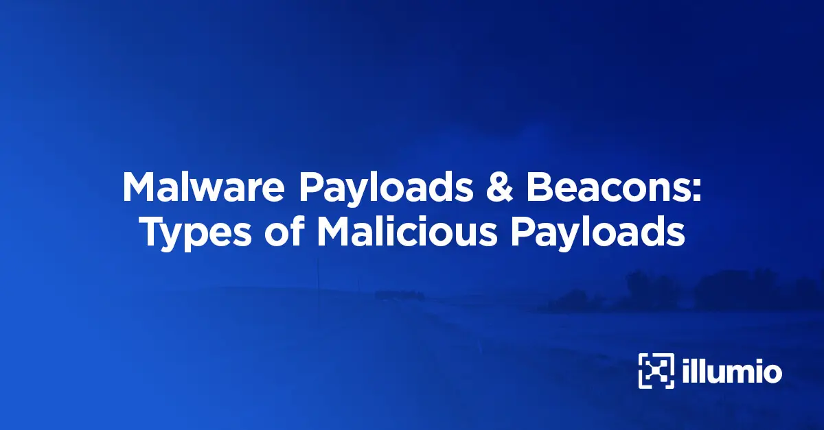 Malware Payloads & Beacons: Types of Malicious Payloads