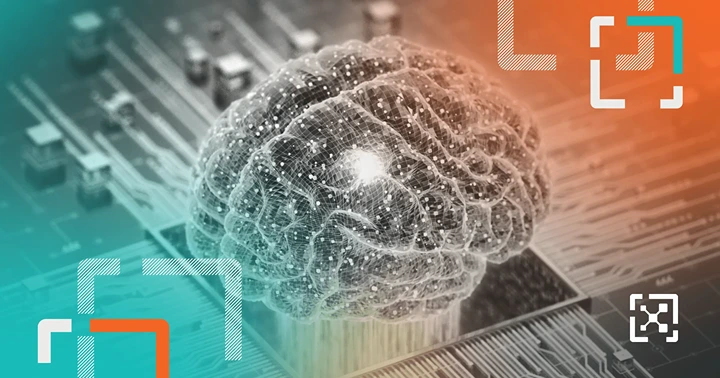 A brain made up of circuits