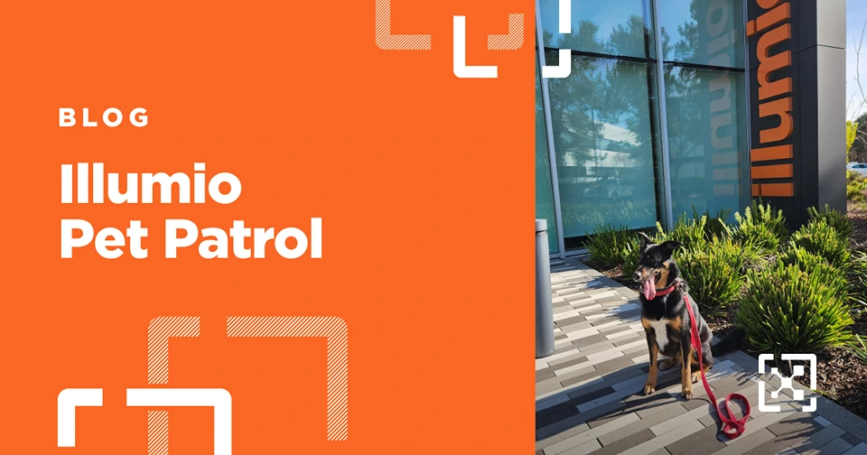 Illumio Pet Patrol: Meet 6 More of the Cybersecurity Pawfessionals Behind Our Team 