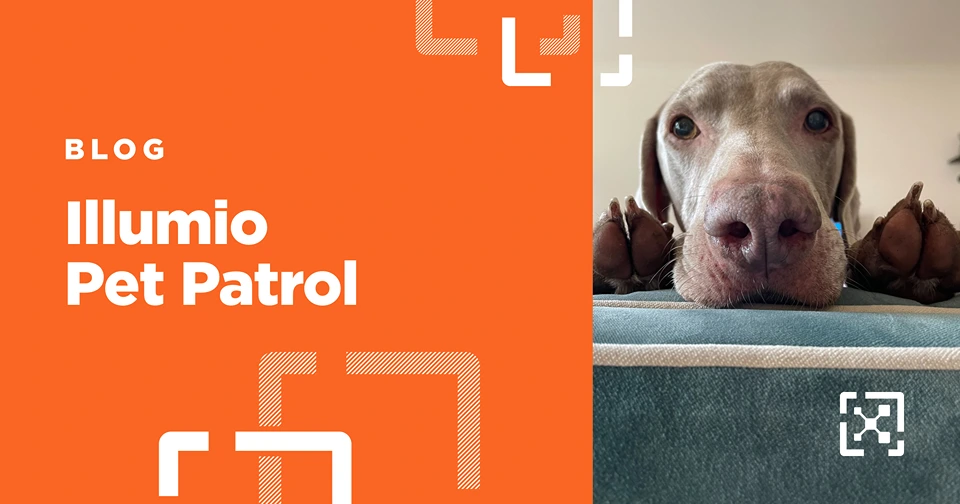 Illumio Pet Patrol: Meet 10 of Our Cybersecurity Pawfessionals 