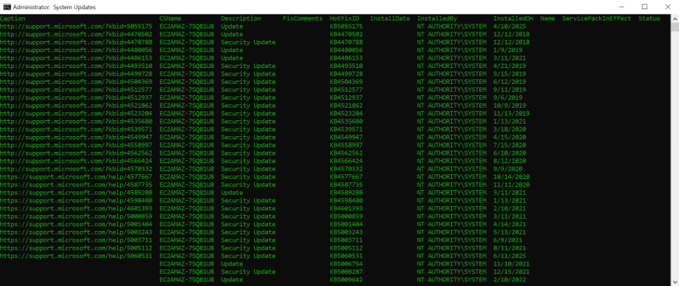 Screenshot of administrator system updater